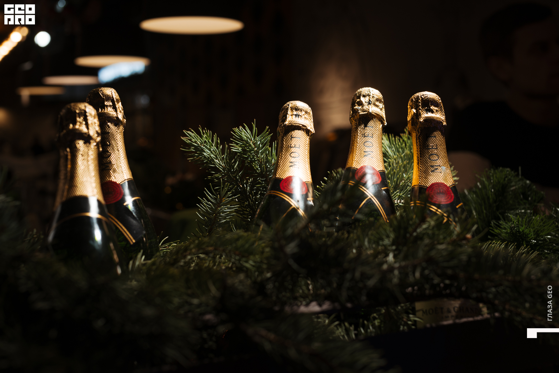 20221229 Волчек 068.jpg