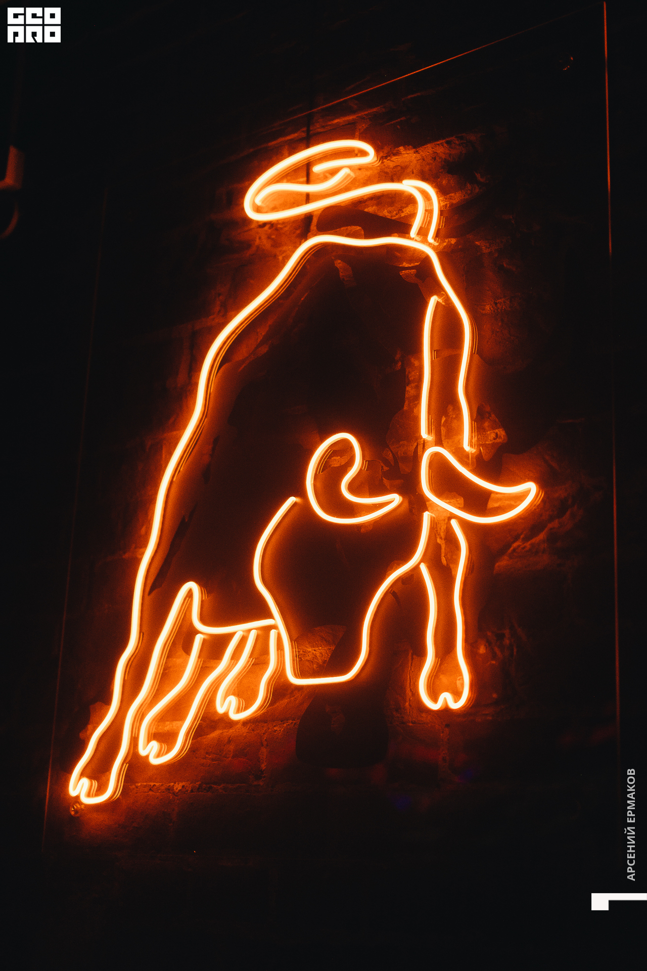 009 2022-06-19-001001_arseniyermakov.jpg