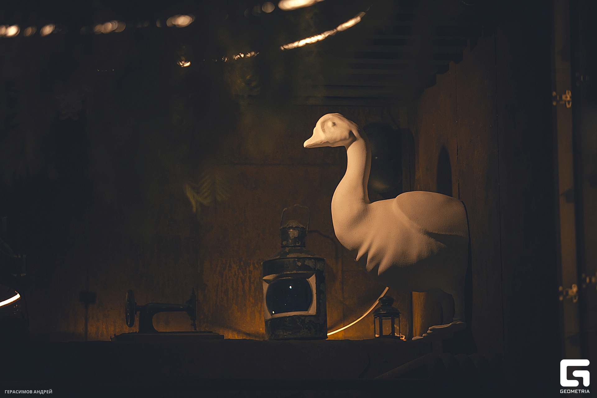 072 Gussi 28. 02.jpg