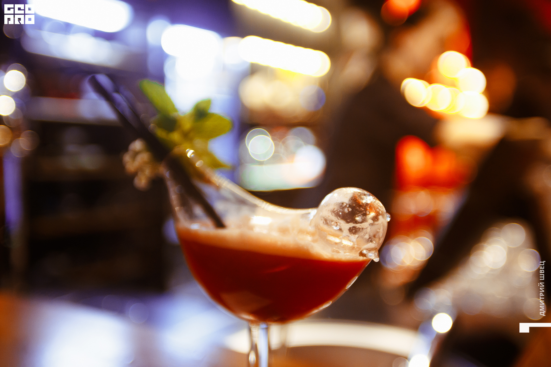 045  2021-11-12 20-11-58 Shvets_.jpg