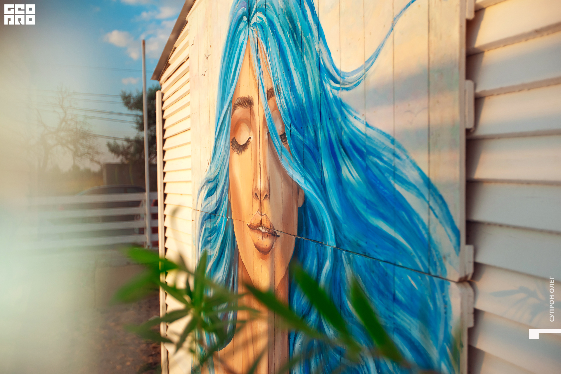 IMG_0021 копия.jpg