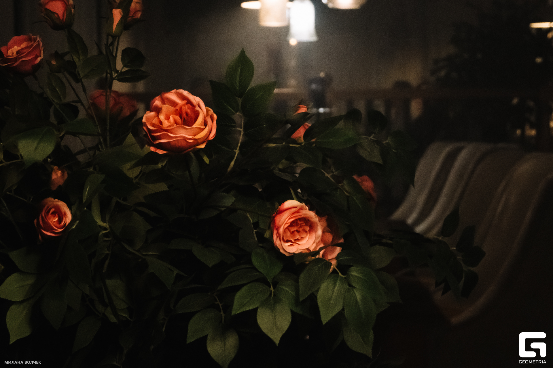 034_20231124 Волчек.jpg