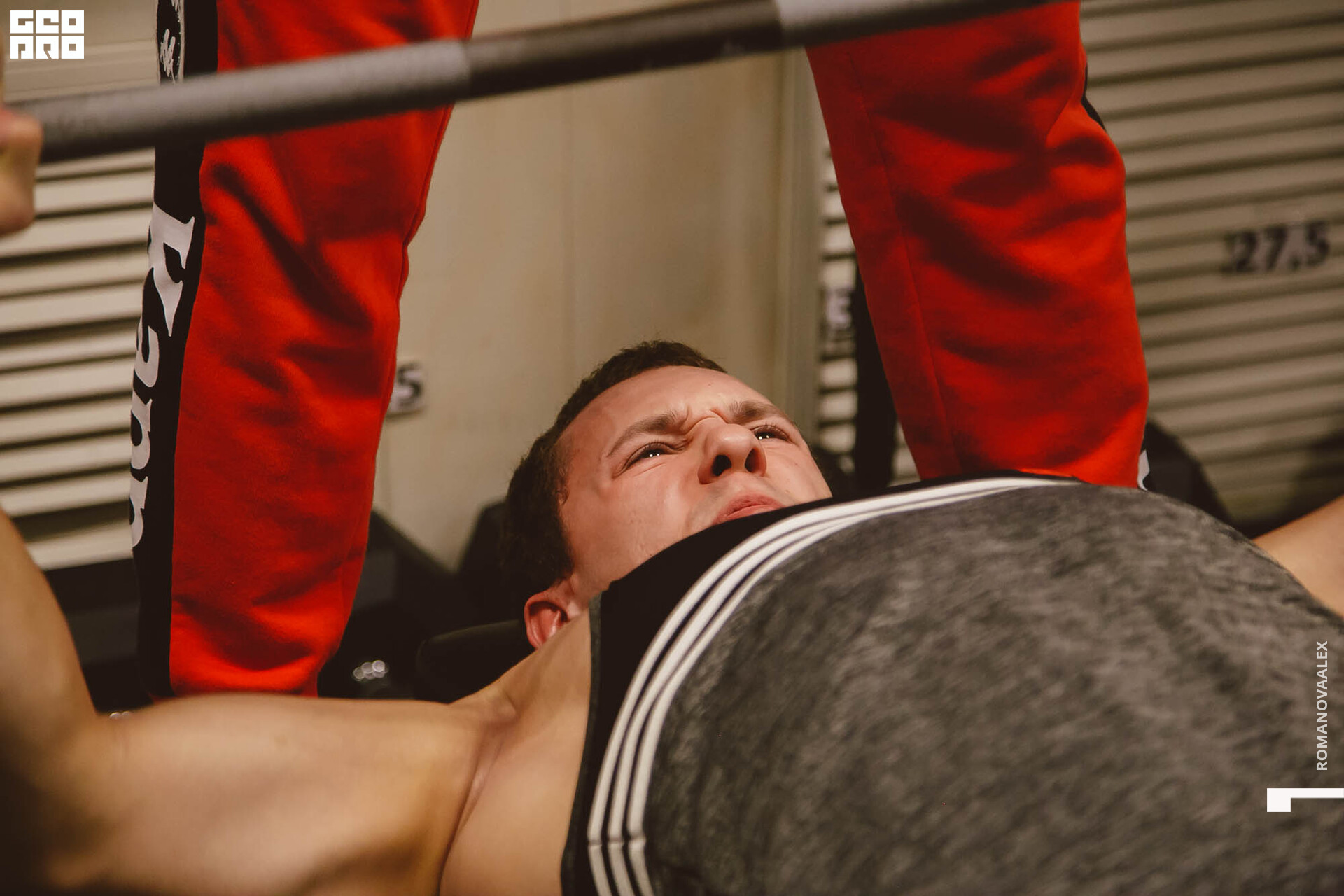 306 211127  115248 _ale_romanova.jpg