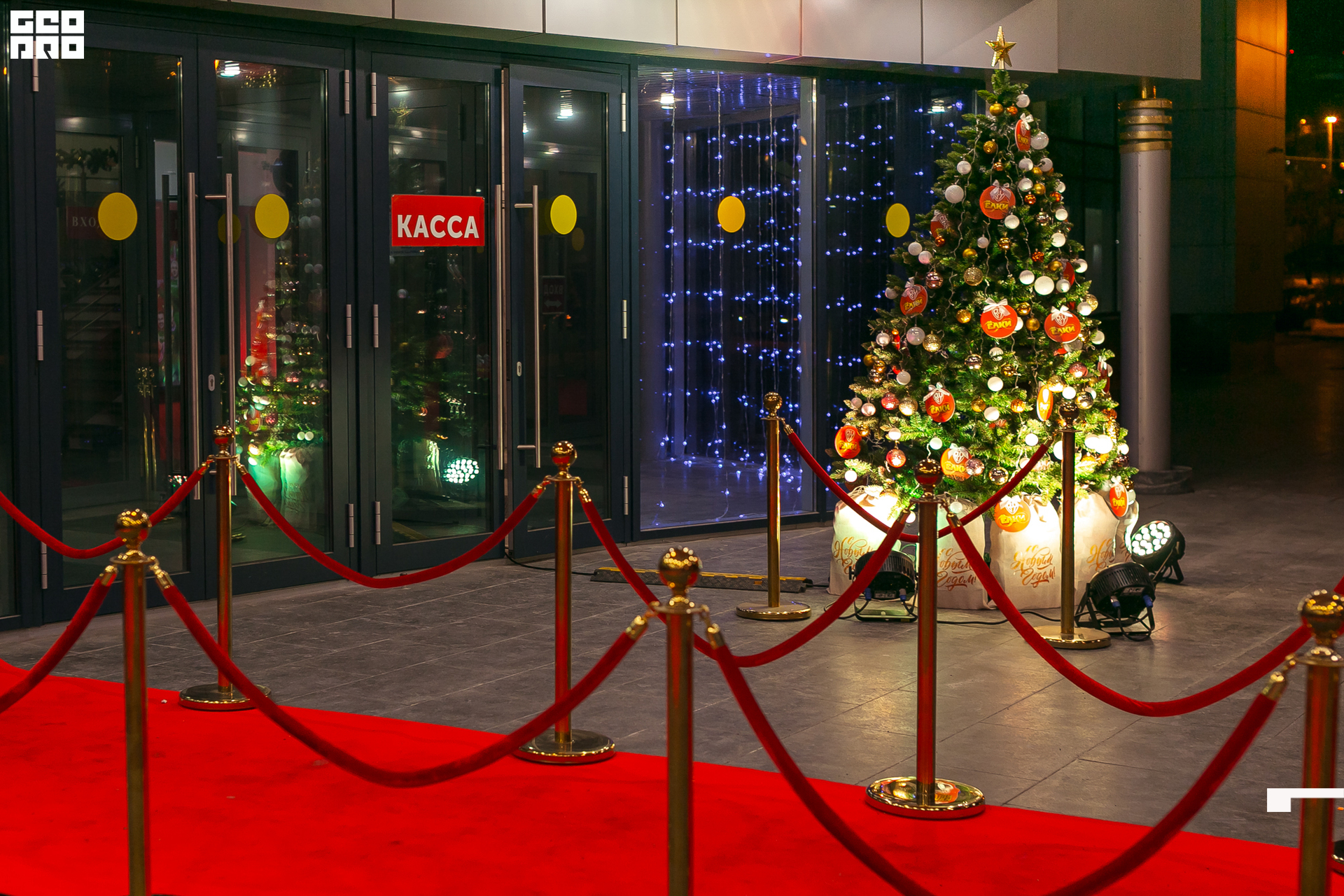 253-20211211-57-11.12.21 - Ёлки.jpg