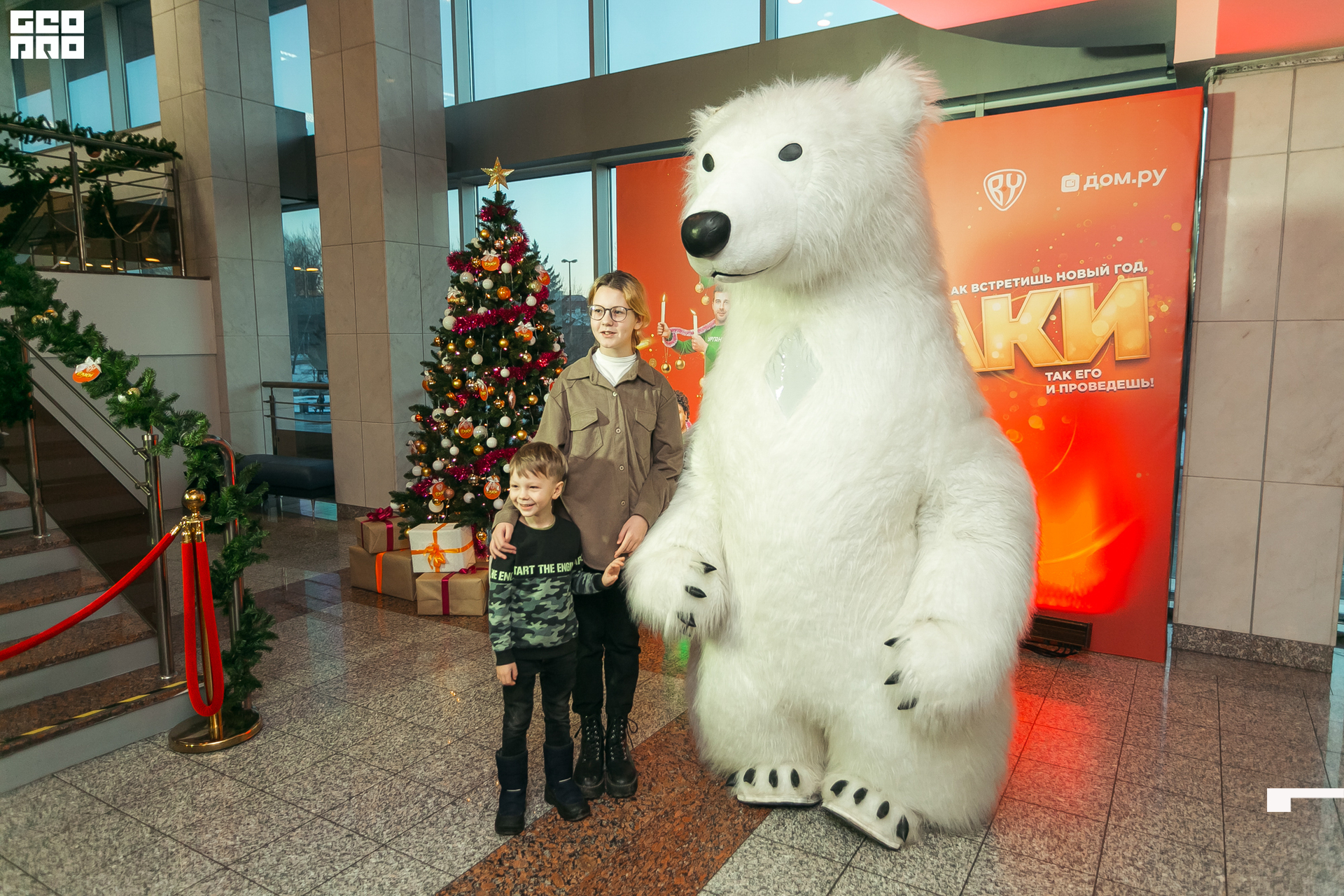 135-20211211-50-11.12.21 - Ёлки.jpg