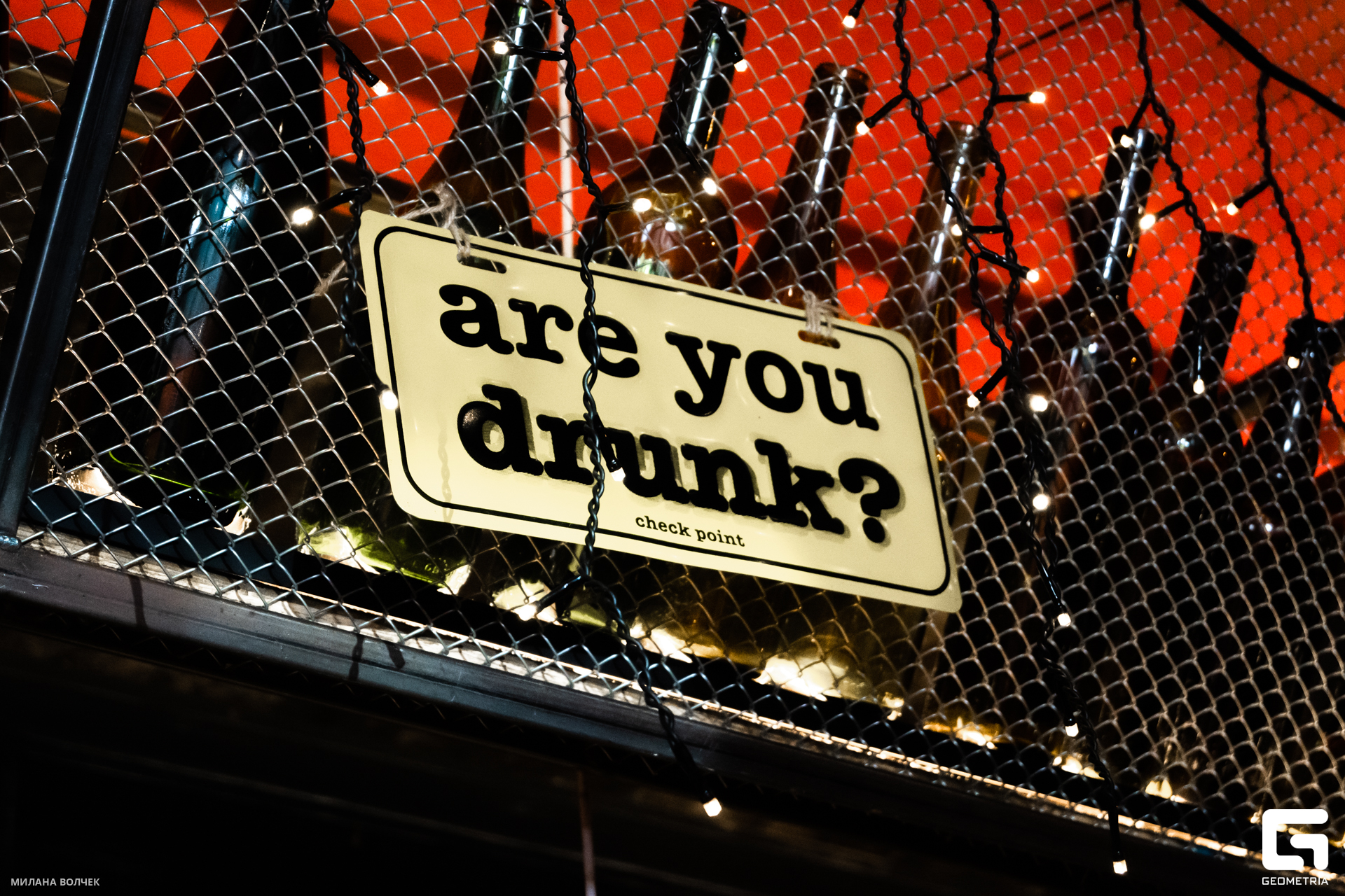 025_20231027 Волчек.jpg