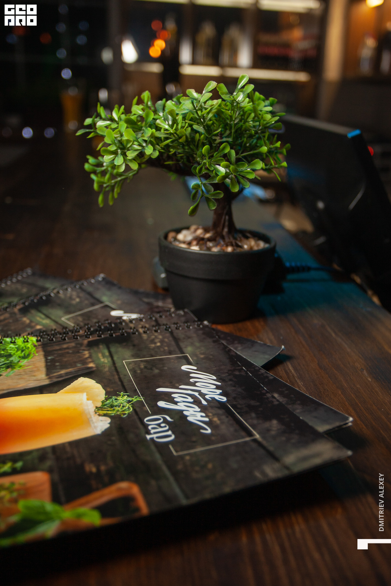 0006_More gadi_220806_Dmitriev.jpg