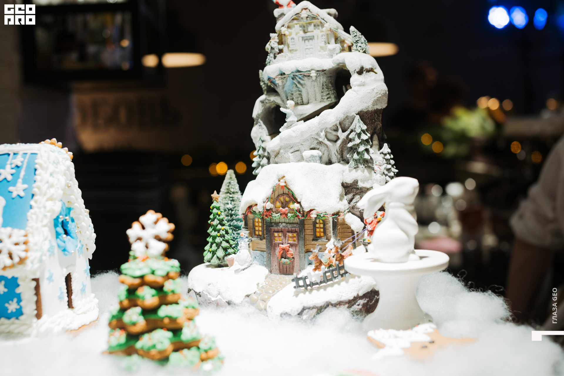 20221229 Волчек 042.jpg