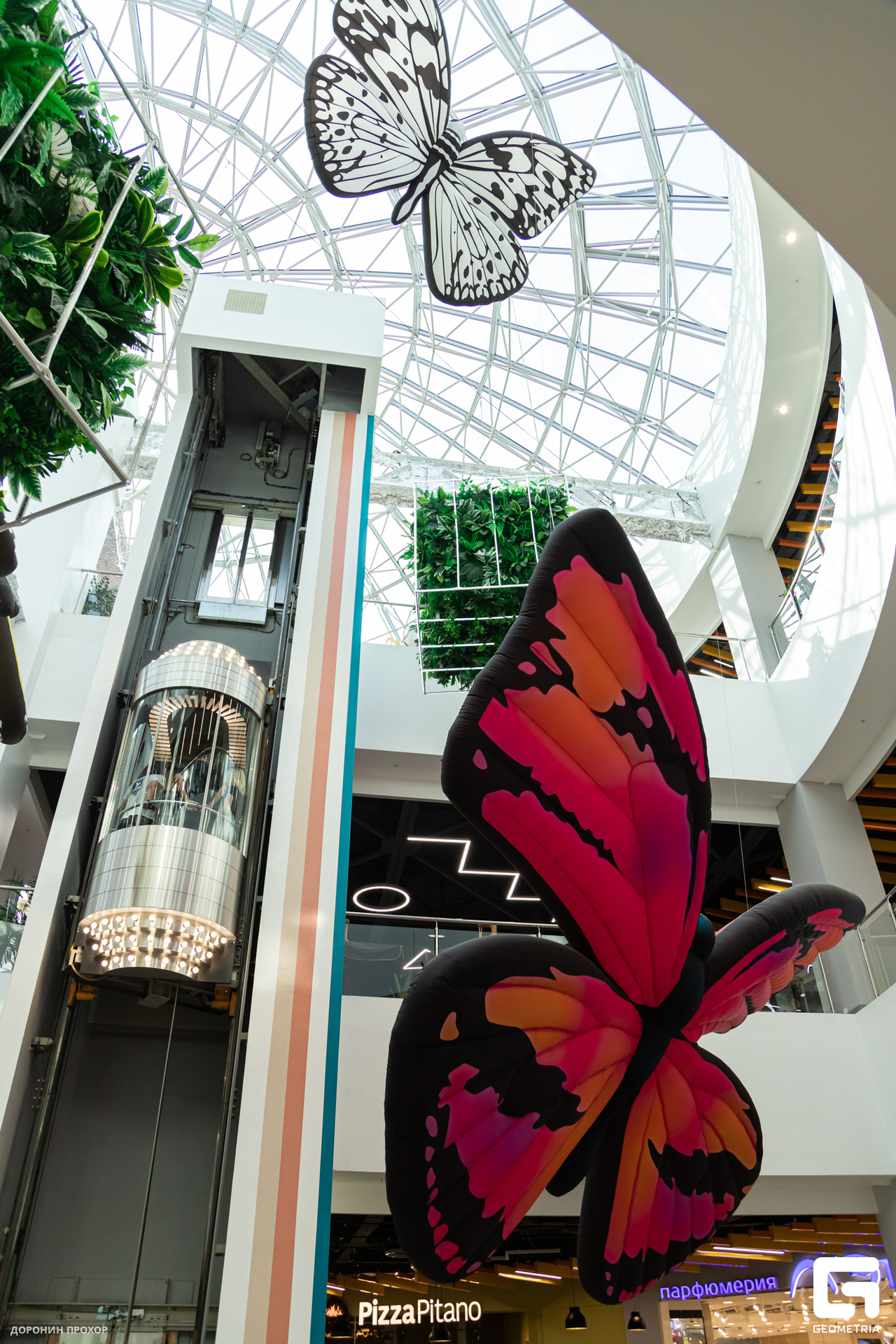 2023.09.01 ЯркоМОЛЛ 132.jpg
