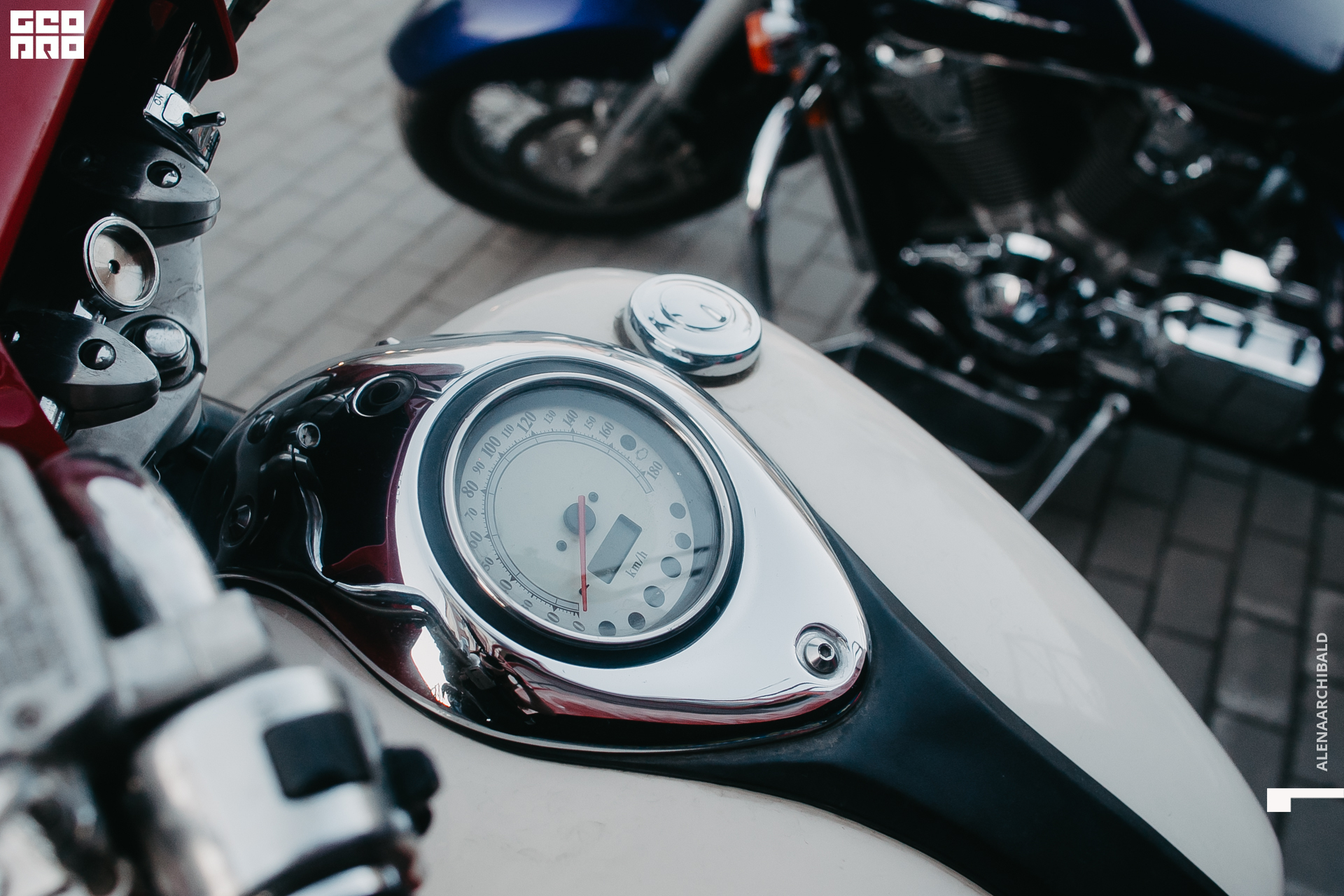 2022-04-22 20-16-56_alenaarchibald004.JPG