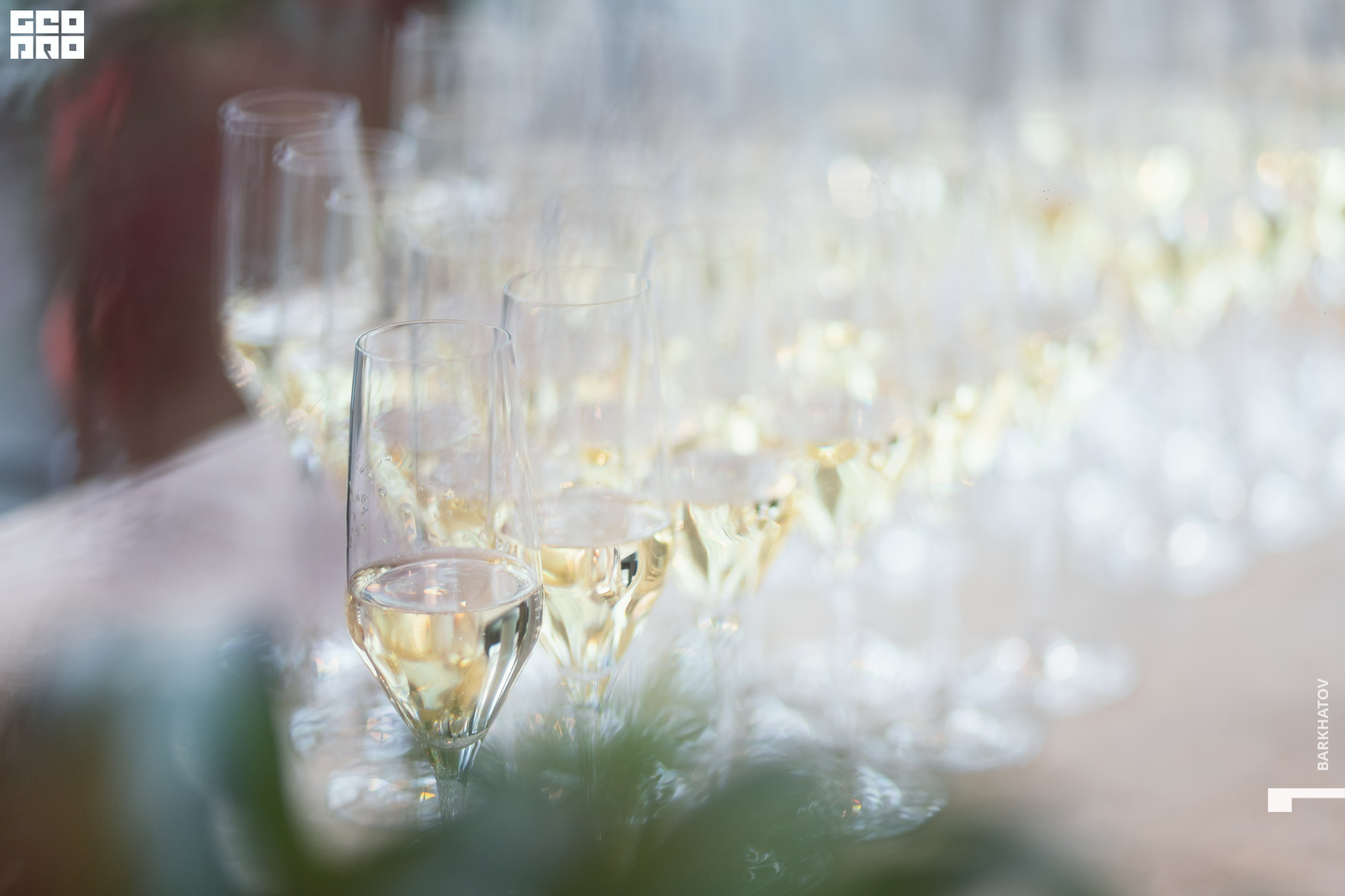 005 (1630) 25.11.22 @mibiyl.jpg