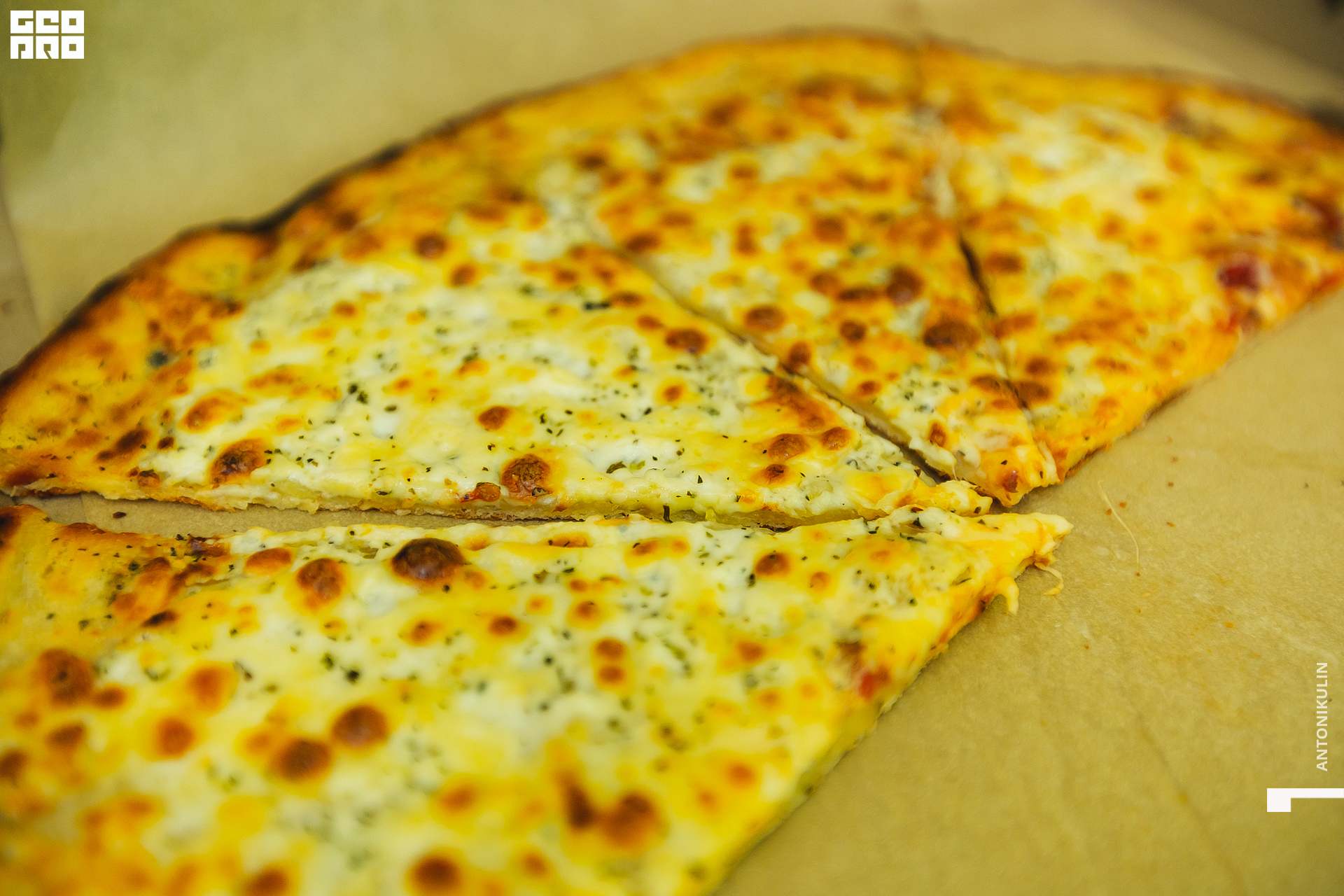 untitled shoot-4006.jpg