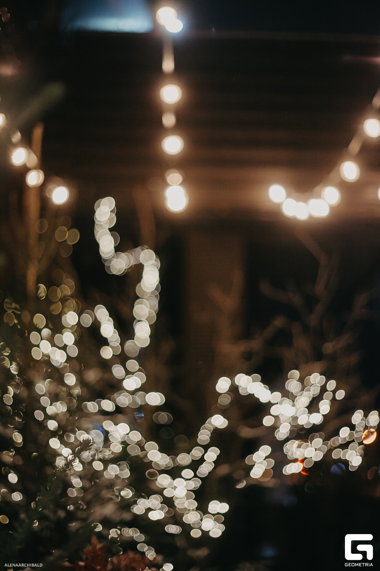 2023-11-24 22-00-46_alenaarchibald068.JPG