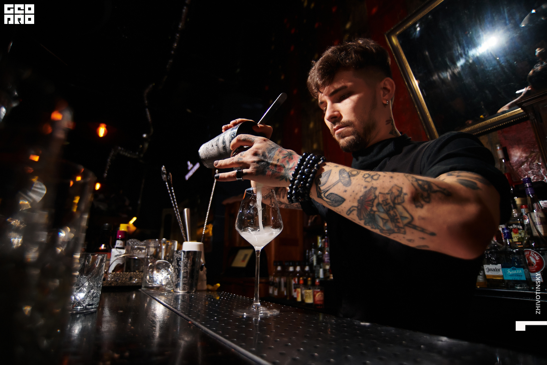 019_06-02-22_10-43 _Zhivotinsky.jpg