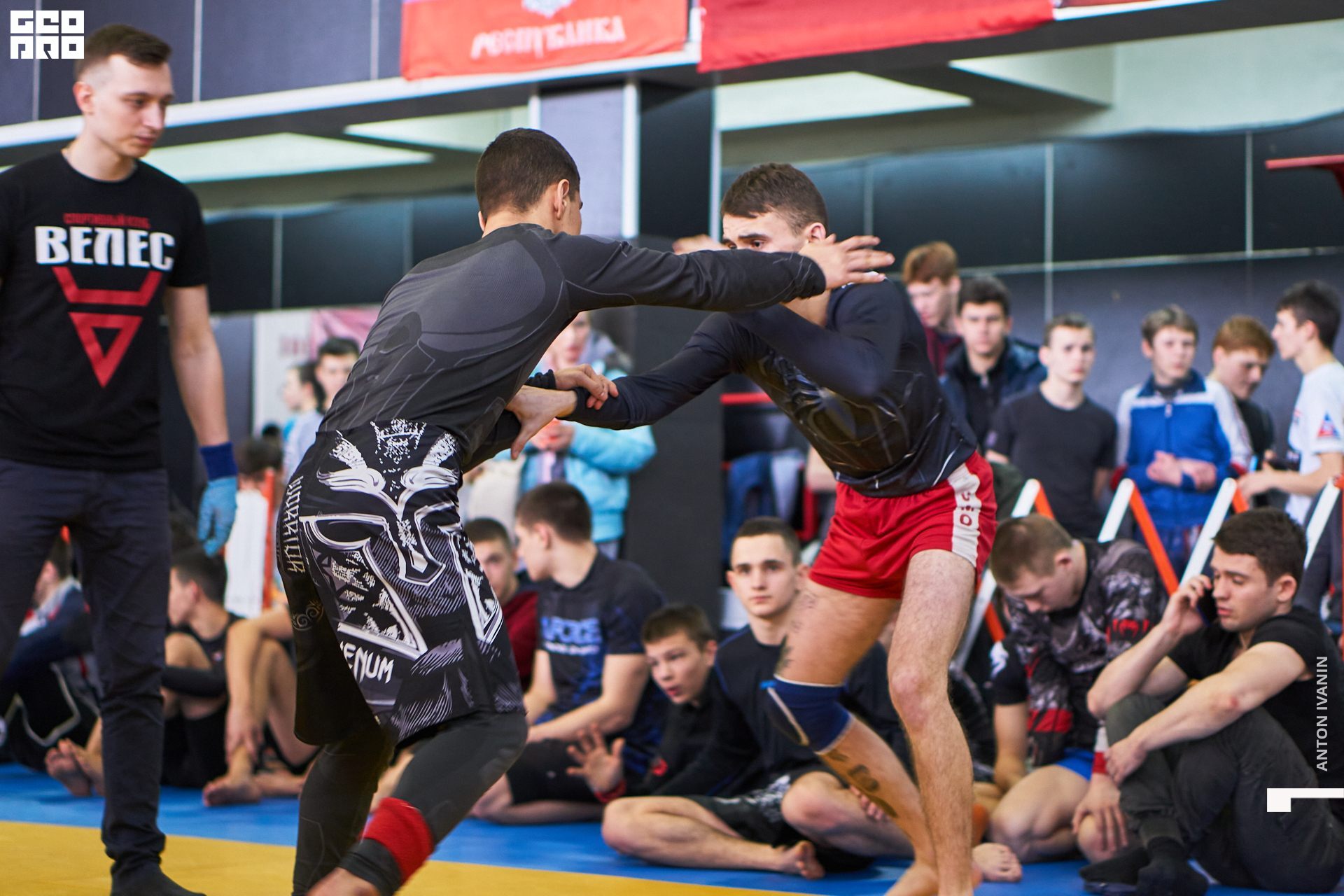 DSC09242 (Копировать).jpg