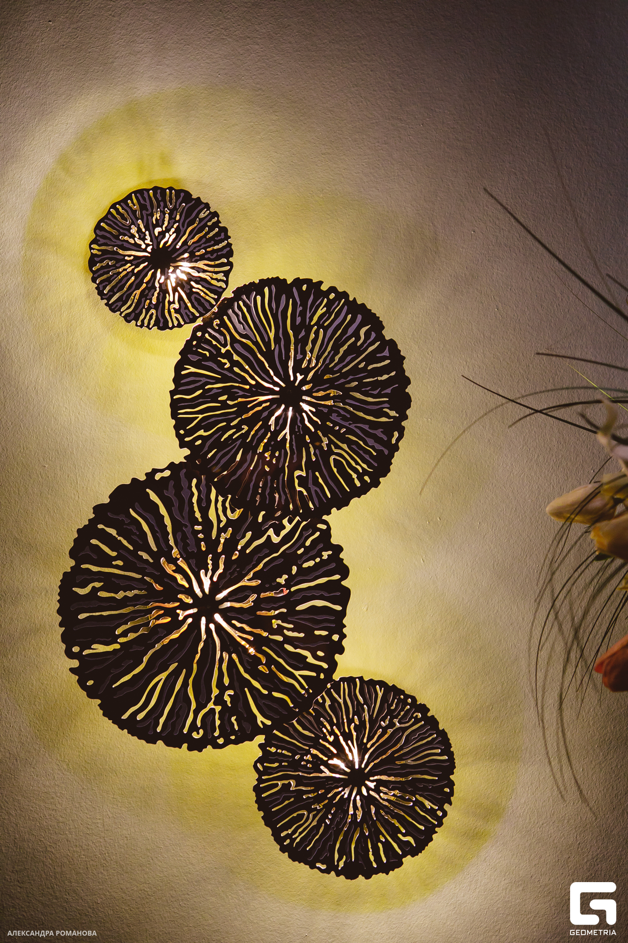 022   021623  235903 .jpg