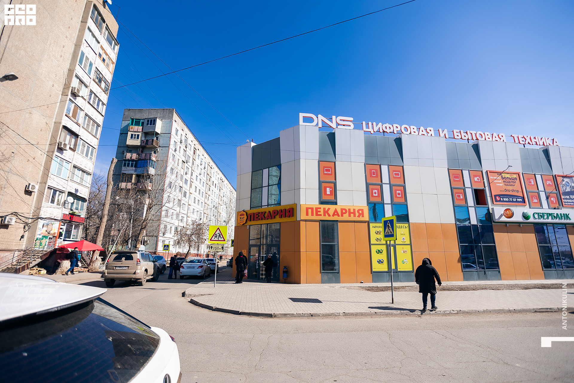 untitled shoot-9903.jpg