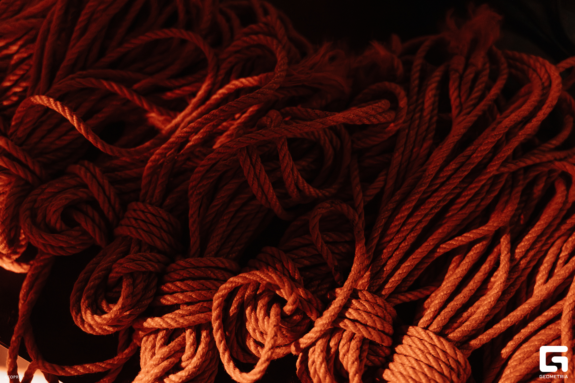 MARI1617-Улучшено-Ум копия.jpg