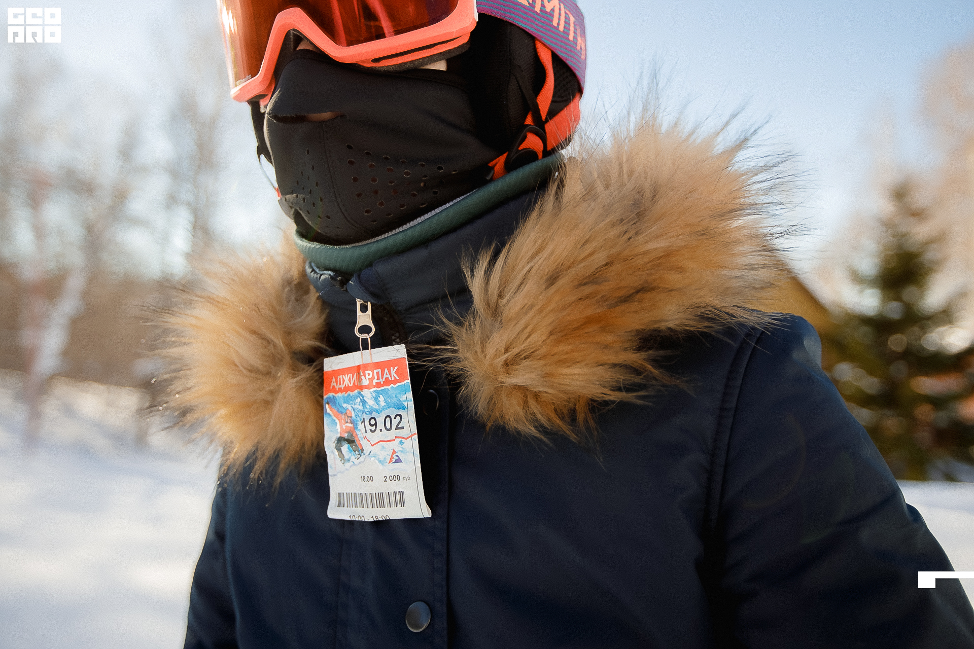 154_22-02-19 ISAEVA.jpg