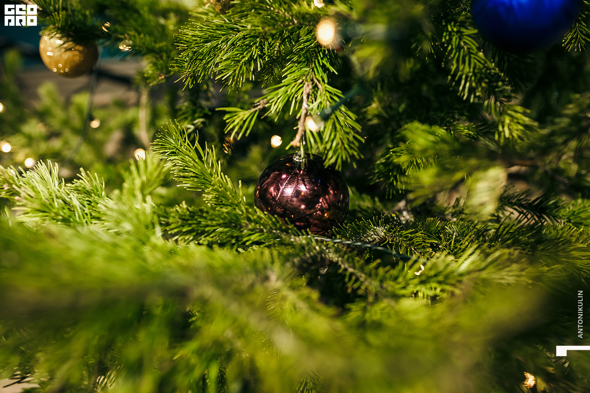 untitled shoot-6413.jpg