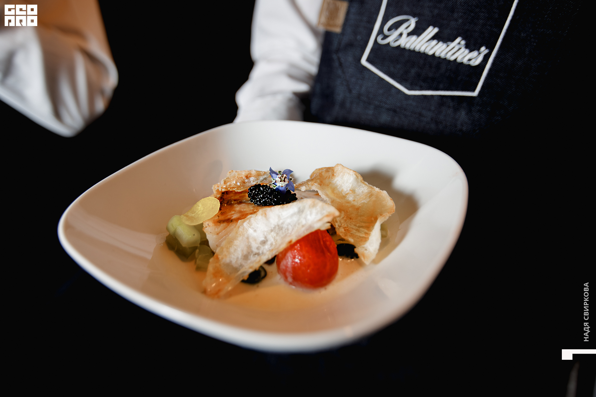 050_21-11-11 ISAEVA.jpg