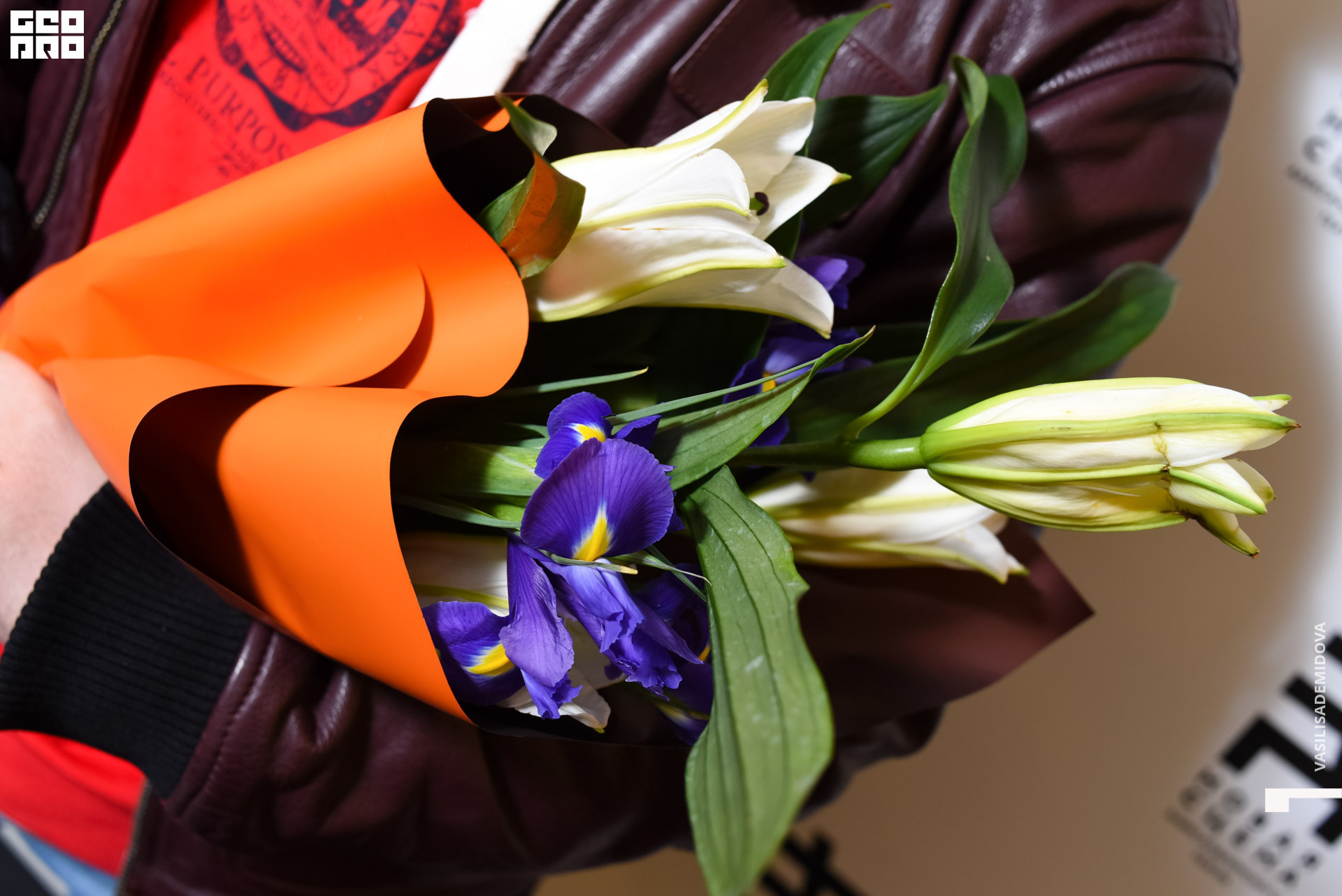 Неделя моды-1049.jpg