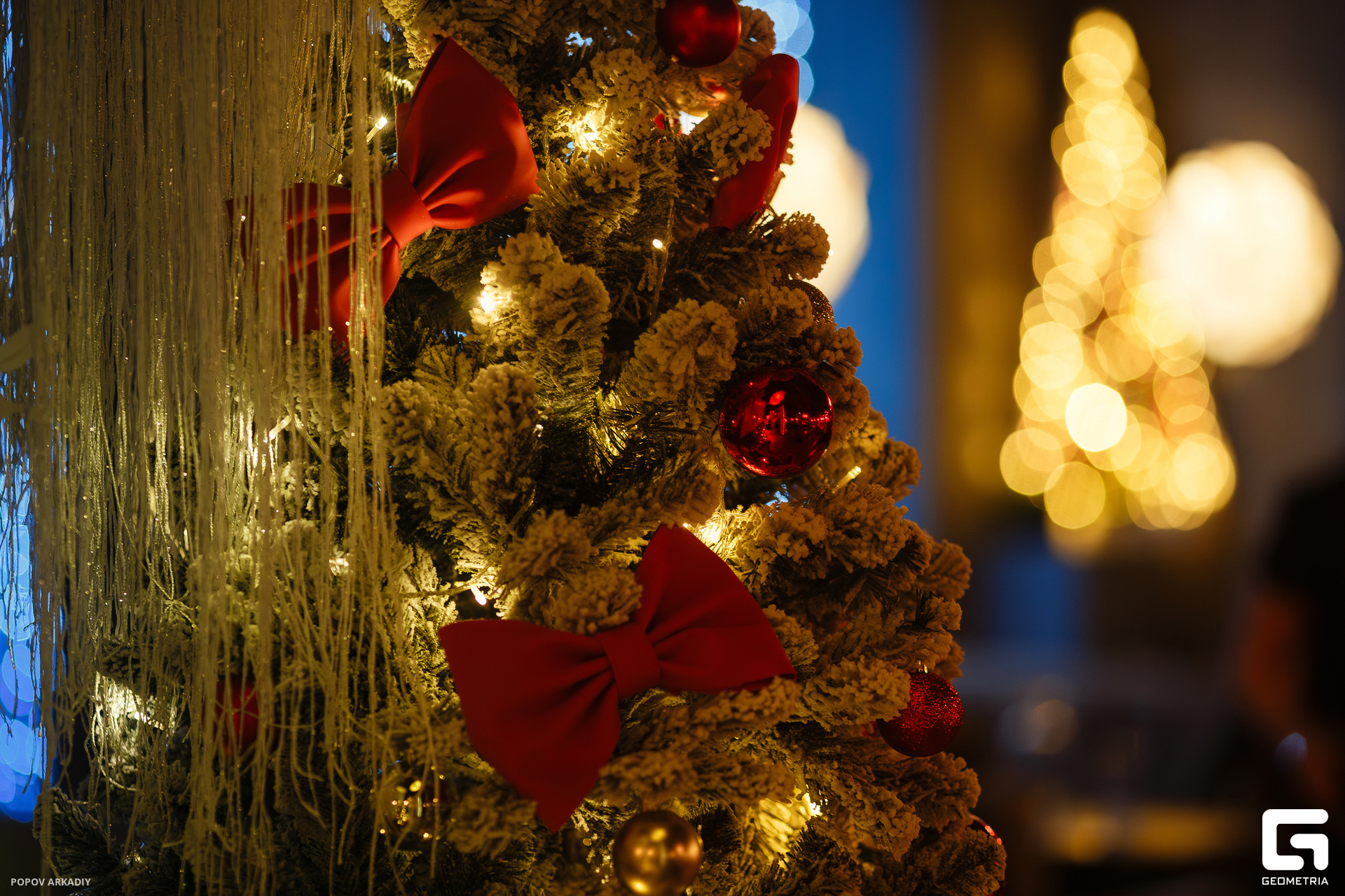 IMG_7596-Улучшено-Ум. шума.jpg