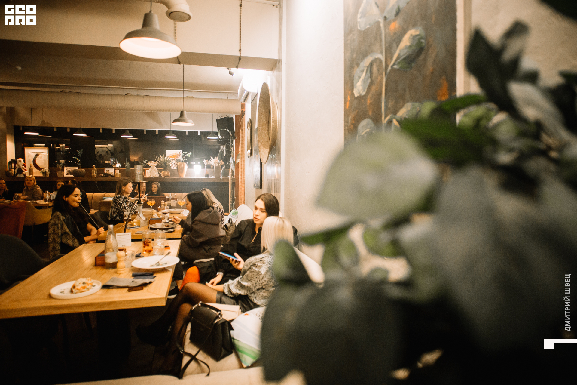 2021-11-26 21-55-16_Швец.jpg