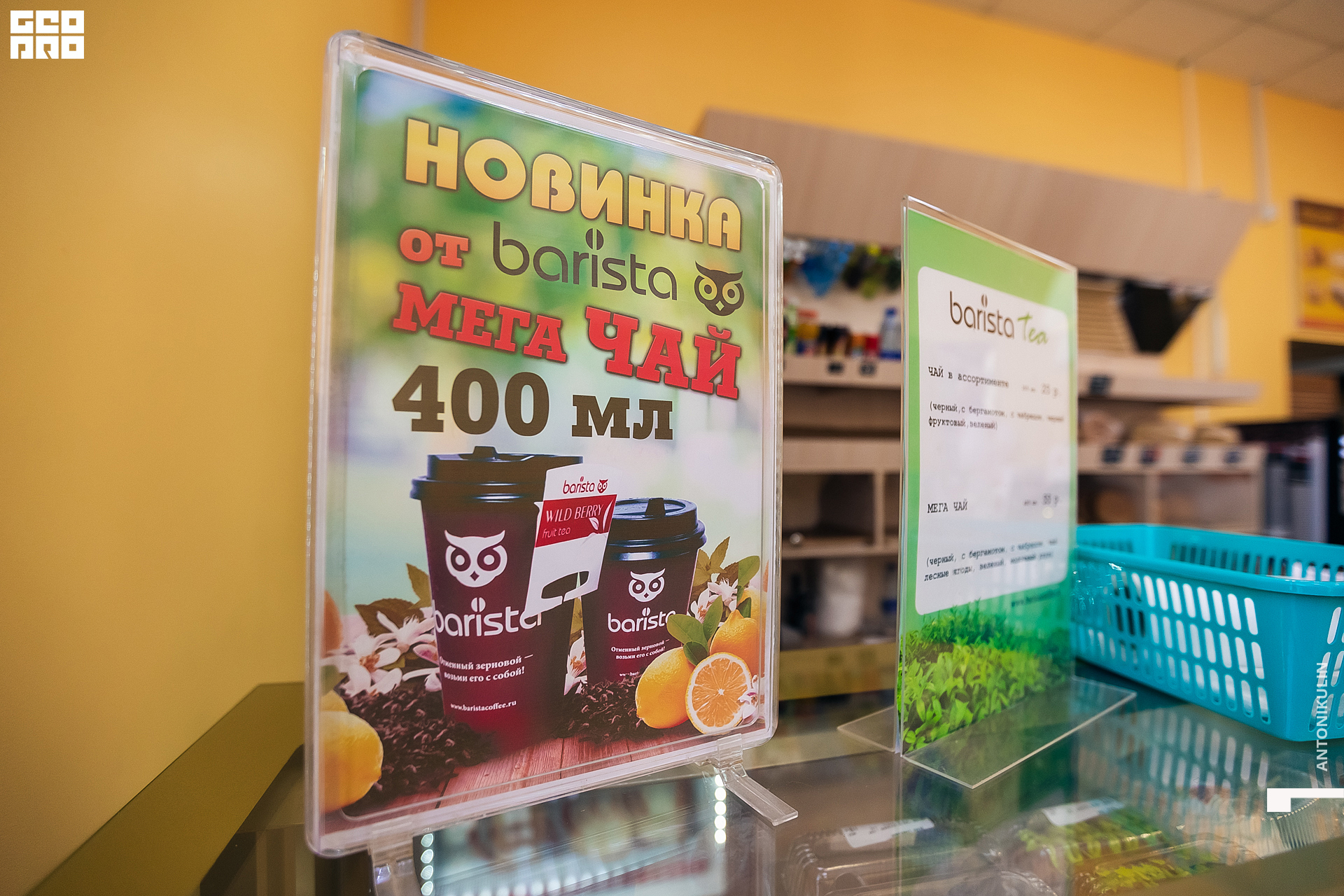 untitled shoot-9825.jpg