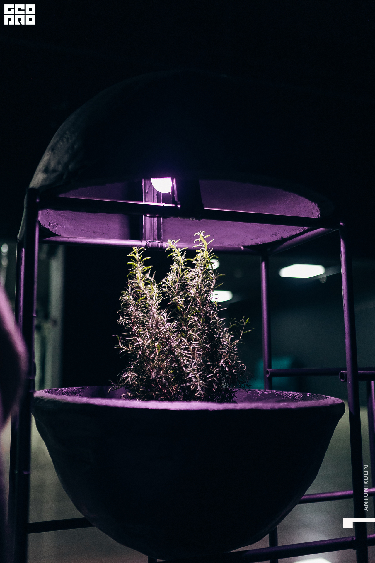 untitled shoot-7506.jpg