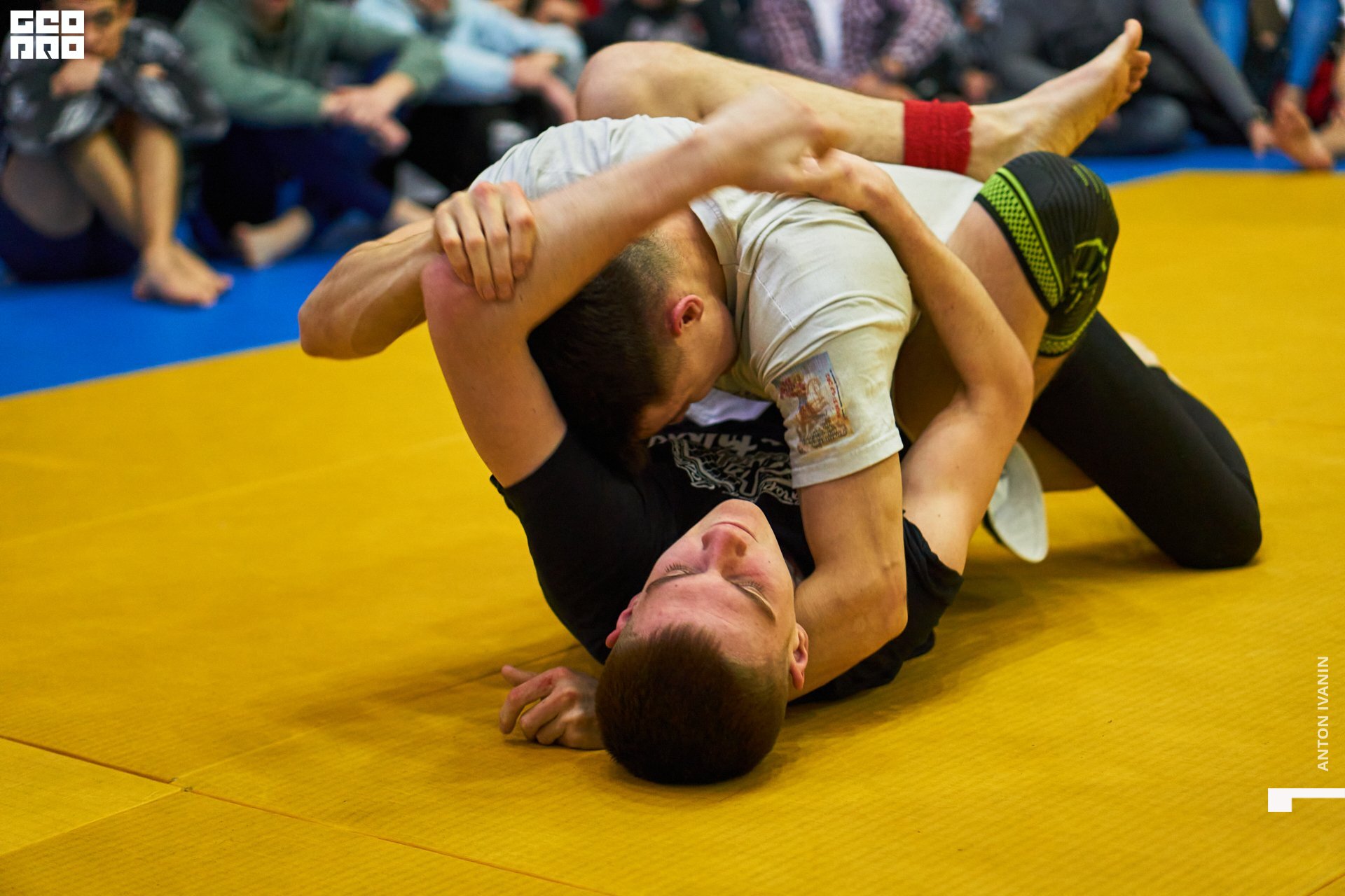 DSC09031 (Копировать).jpg