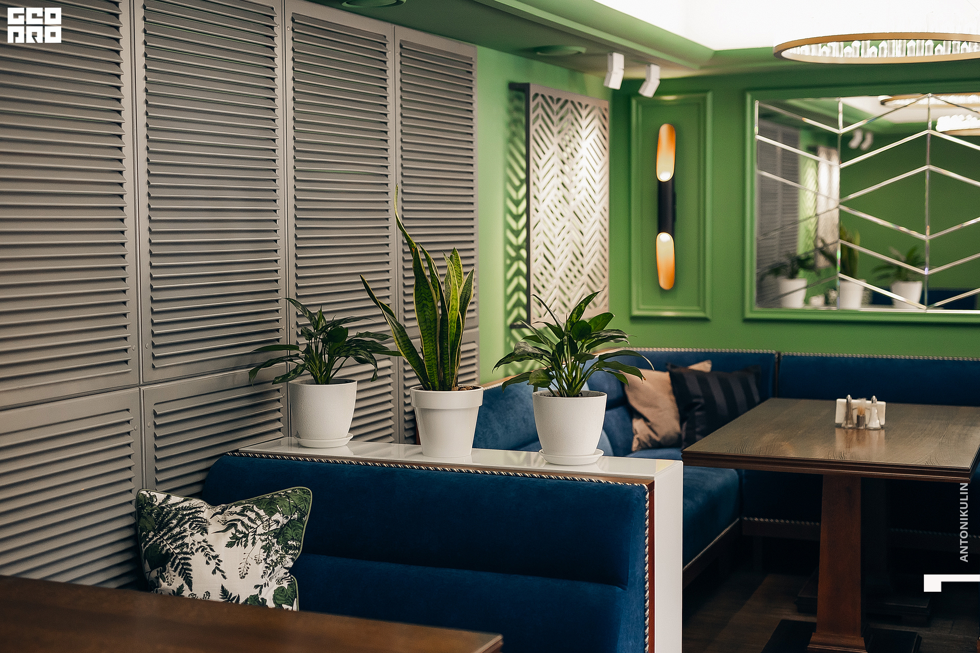 untitled shoot-1533.jpg