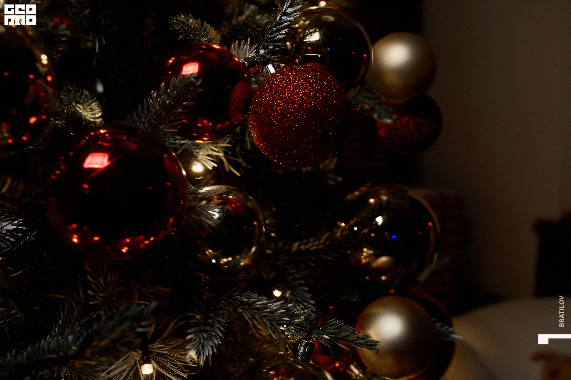 00117 - 2022-12-17 02.37.27 - Bratilov.jpg