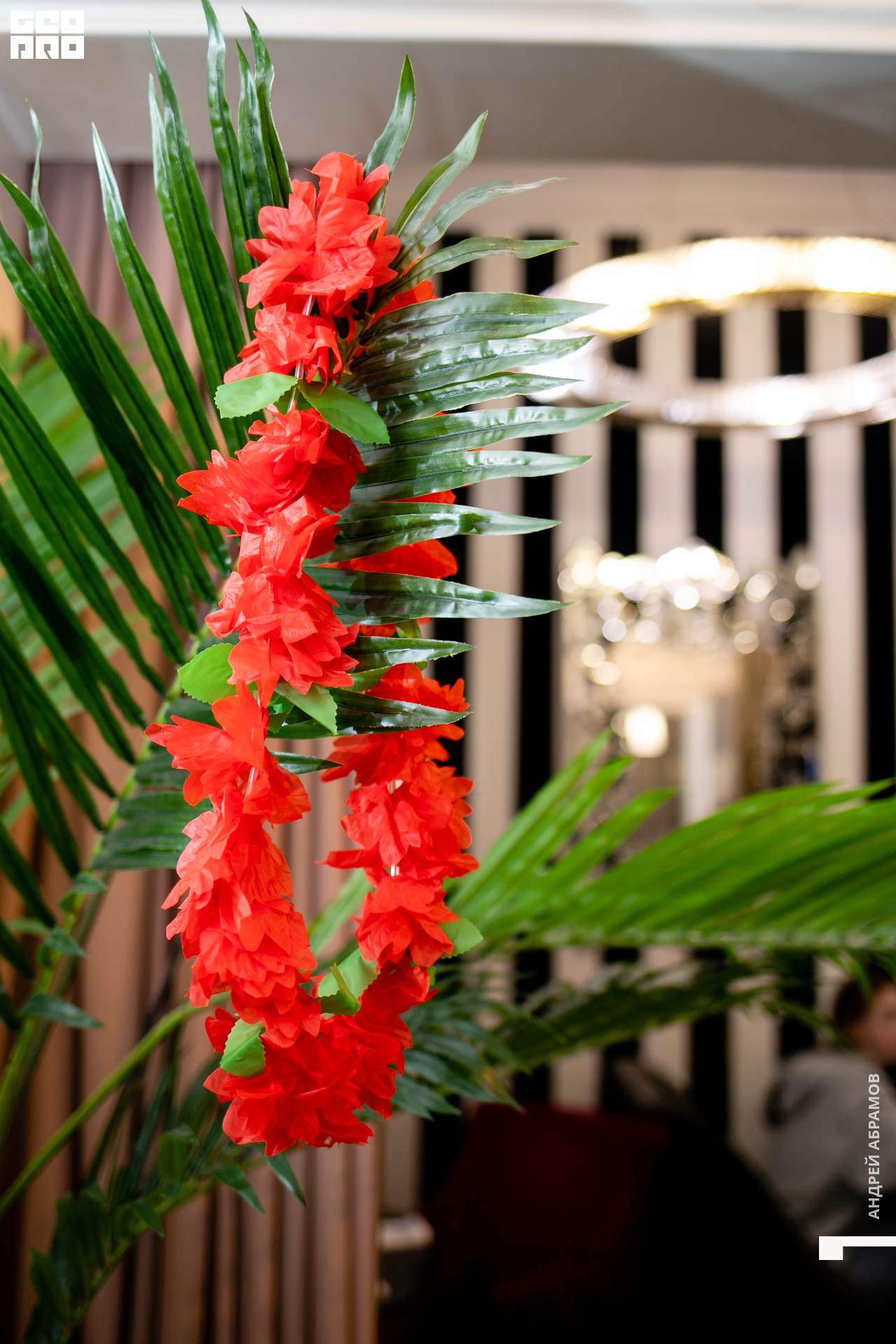 210416_Andrew Abramov0032.jpg