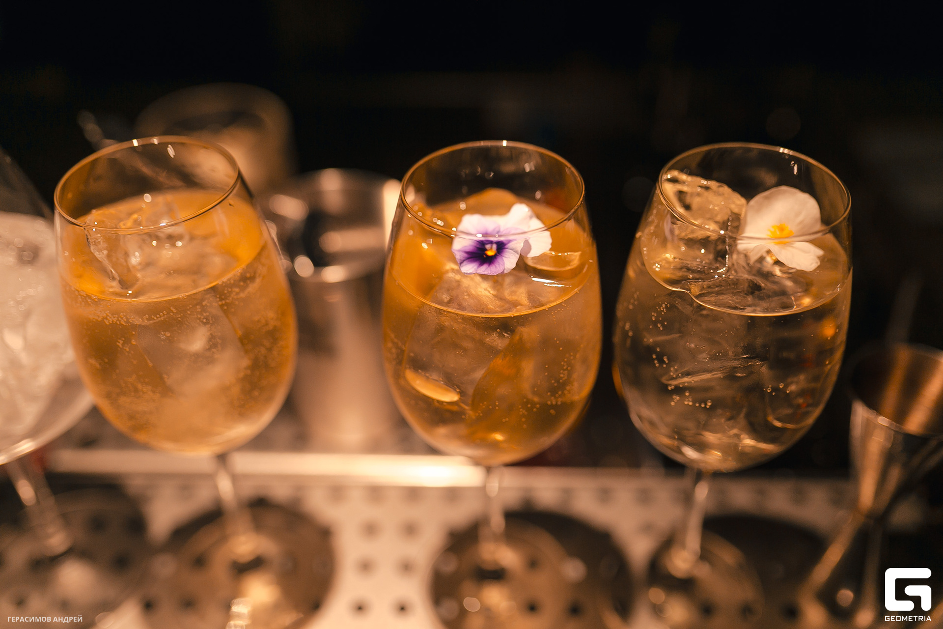 075 Bloom 12. 01.jpg