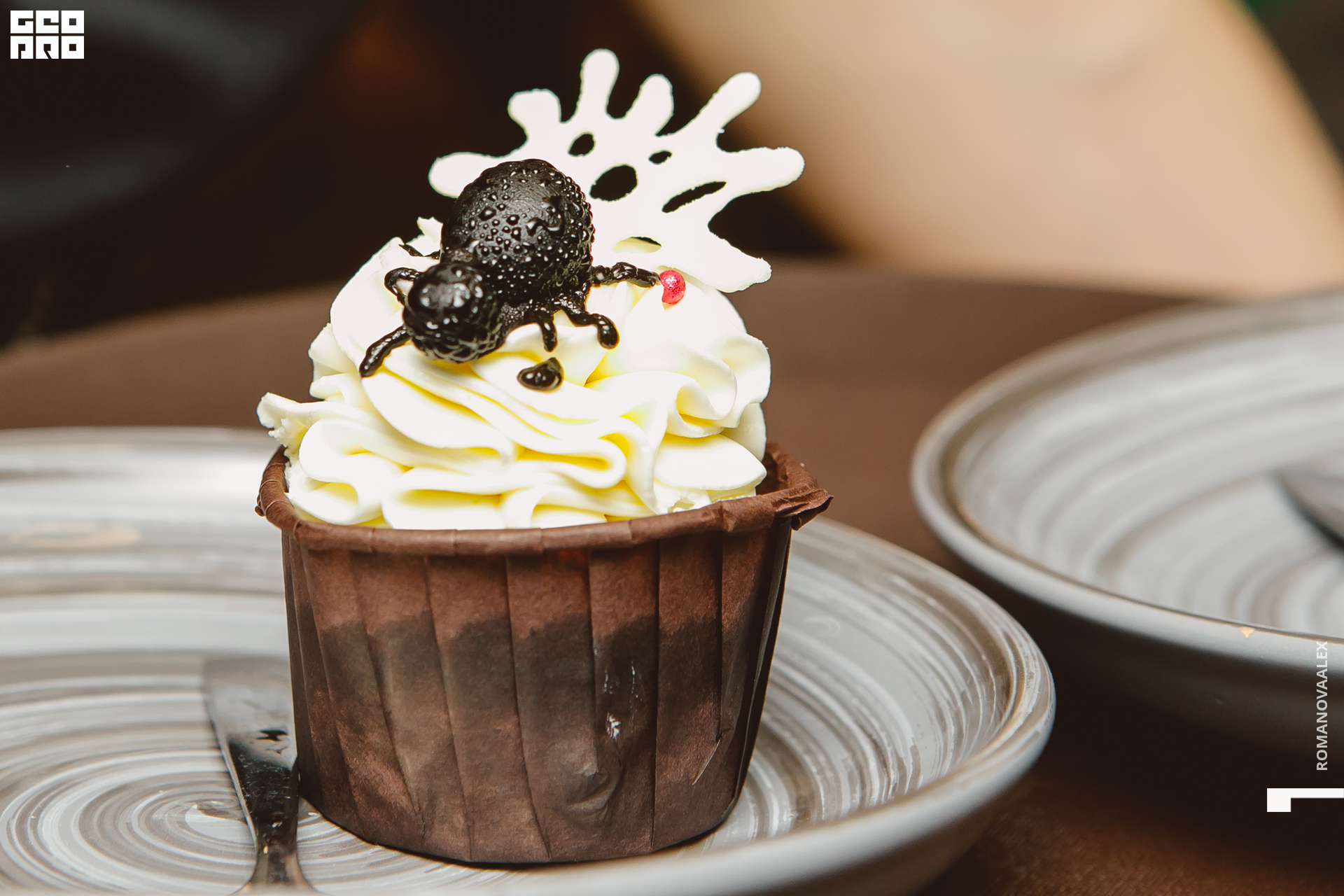 038 311022  014113 @romanovaalex.jpg