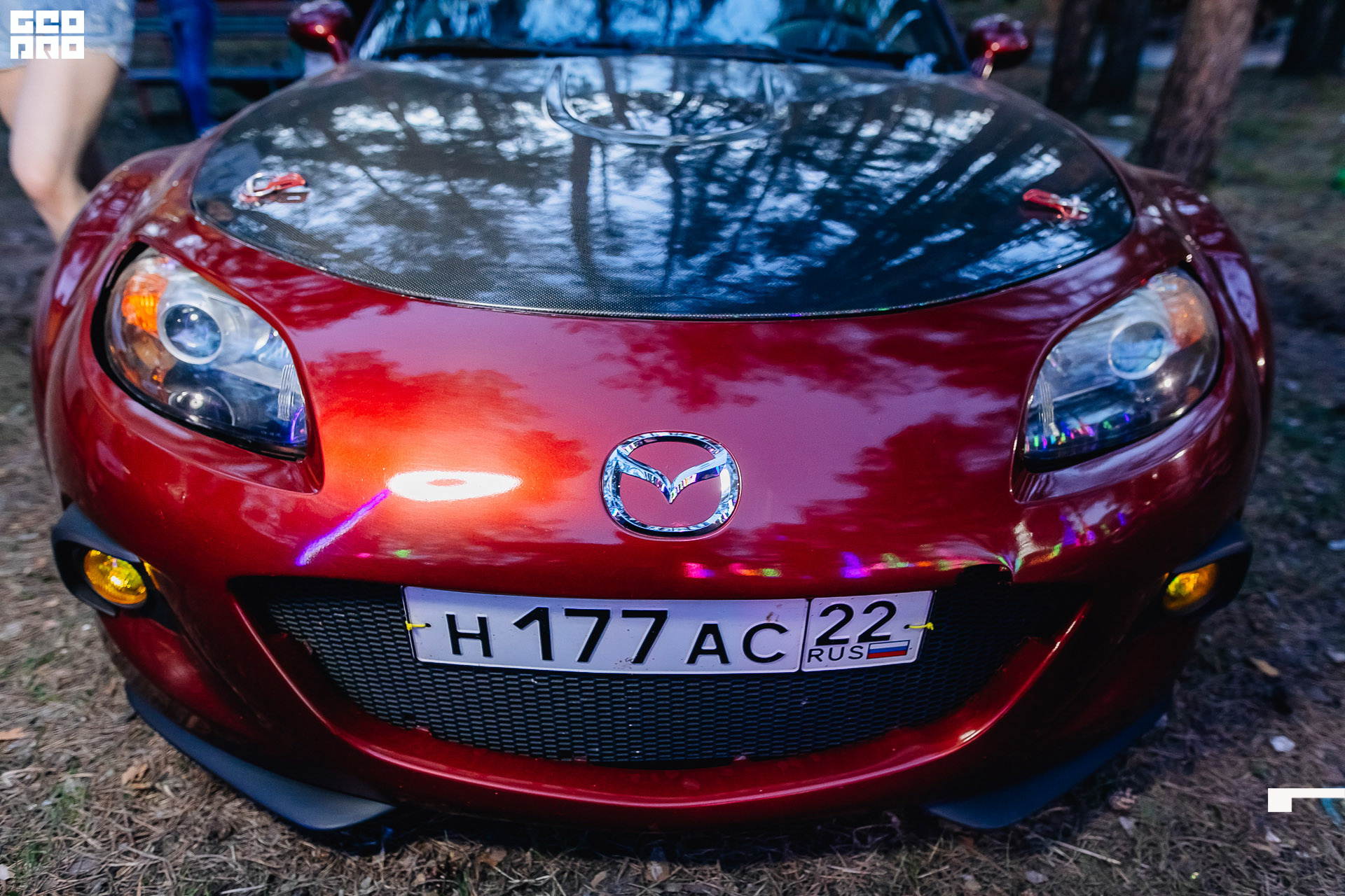 000 (44 из 621).JPG