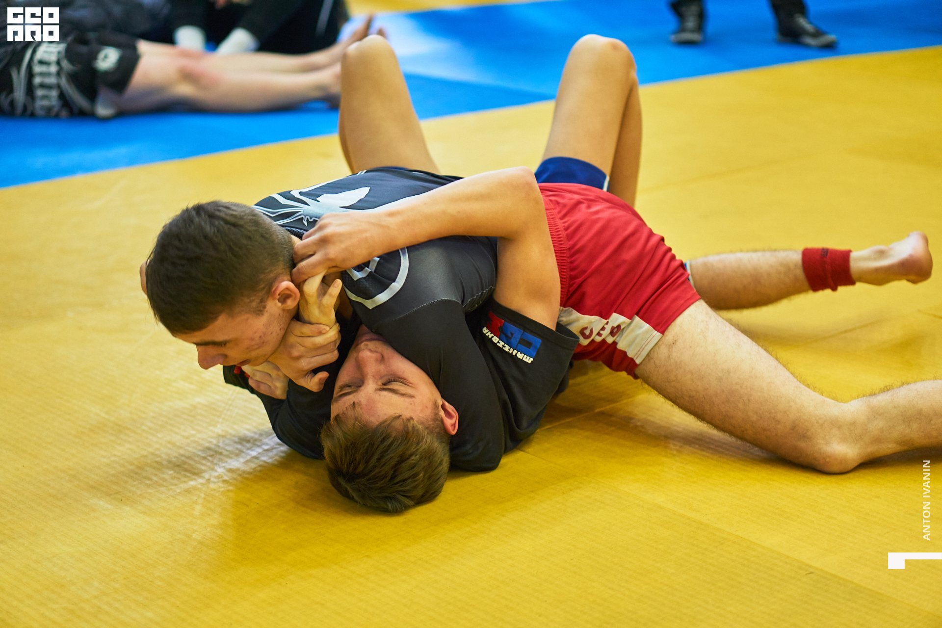 DSC09886 (Копировать).jpg