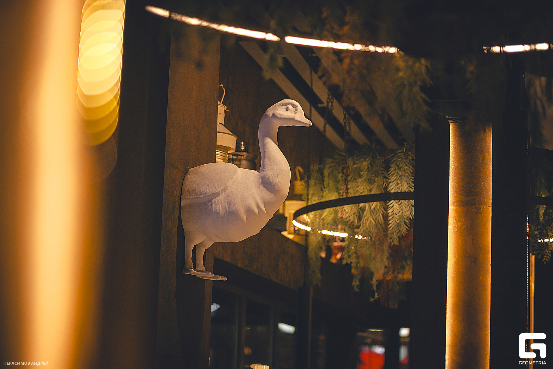 029 Gussi 28. 02.jpg