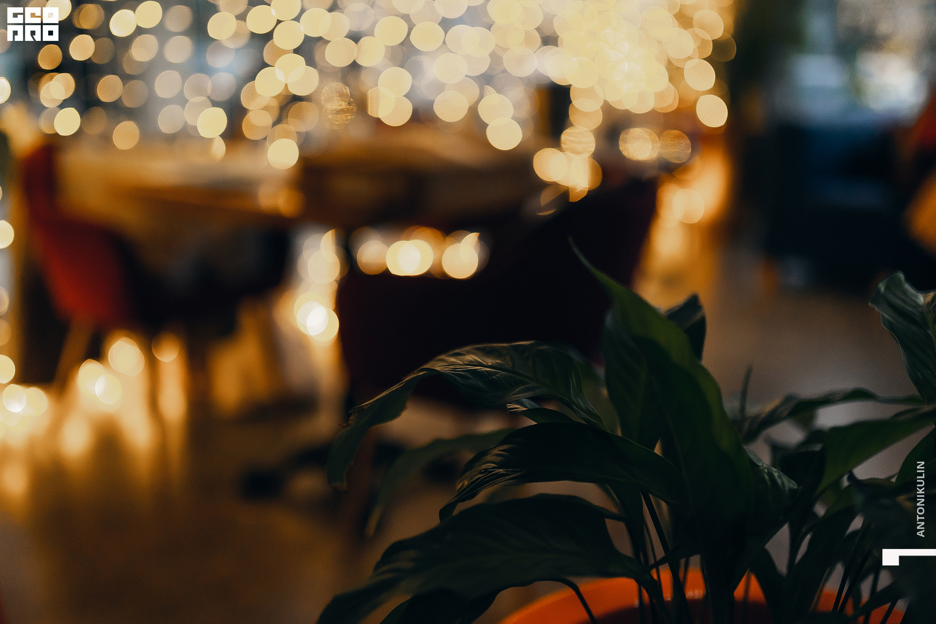 untitled shoot-3703.jpg