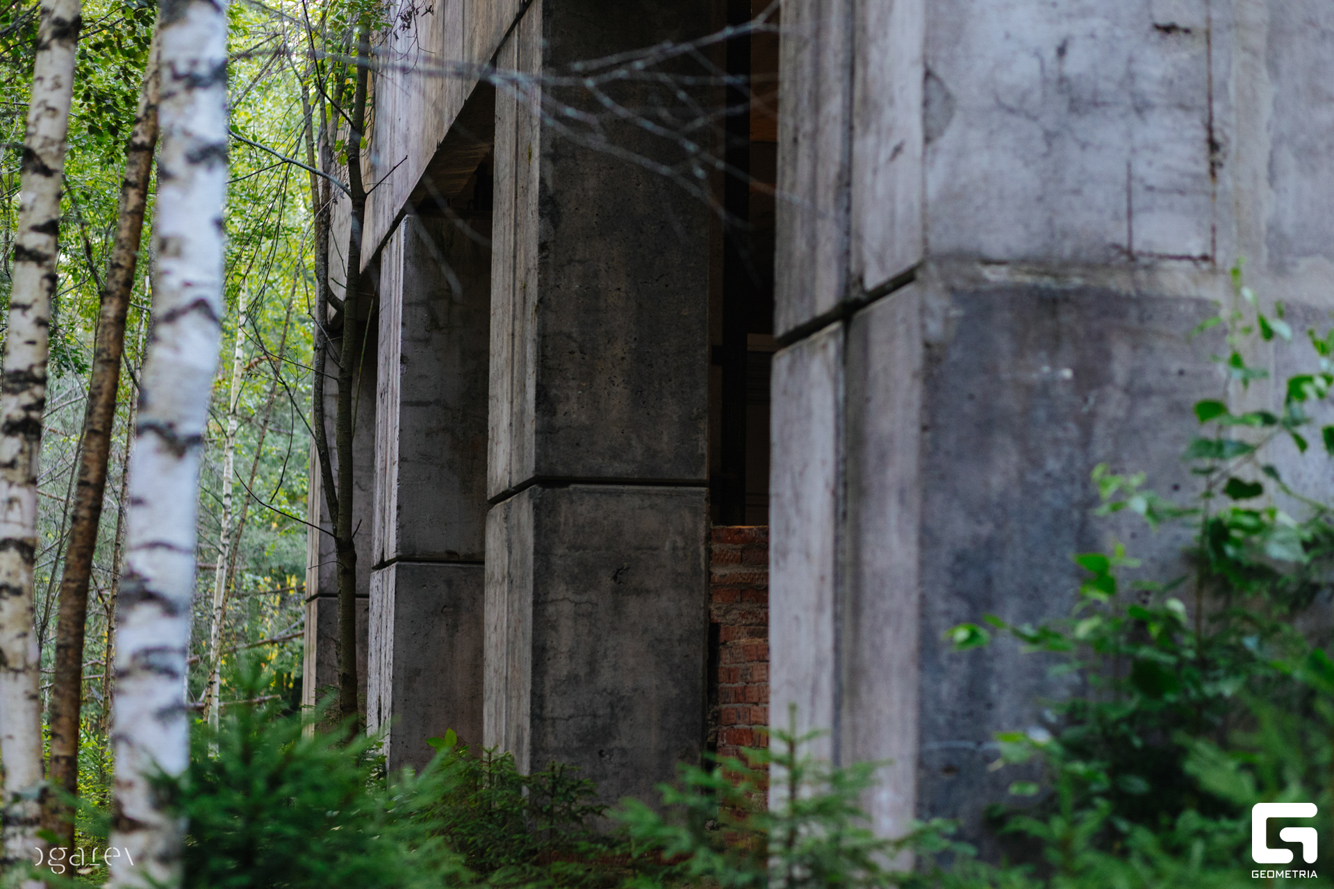 OUTLINE 2024-427-176.jpg