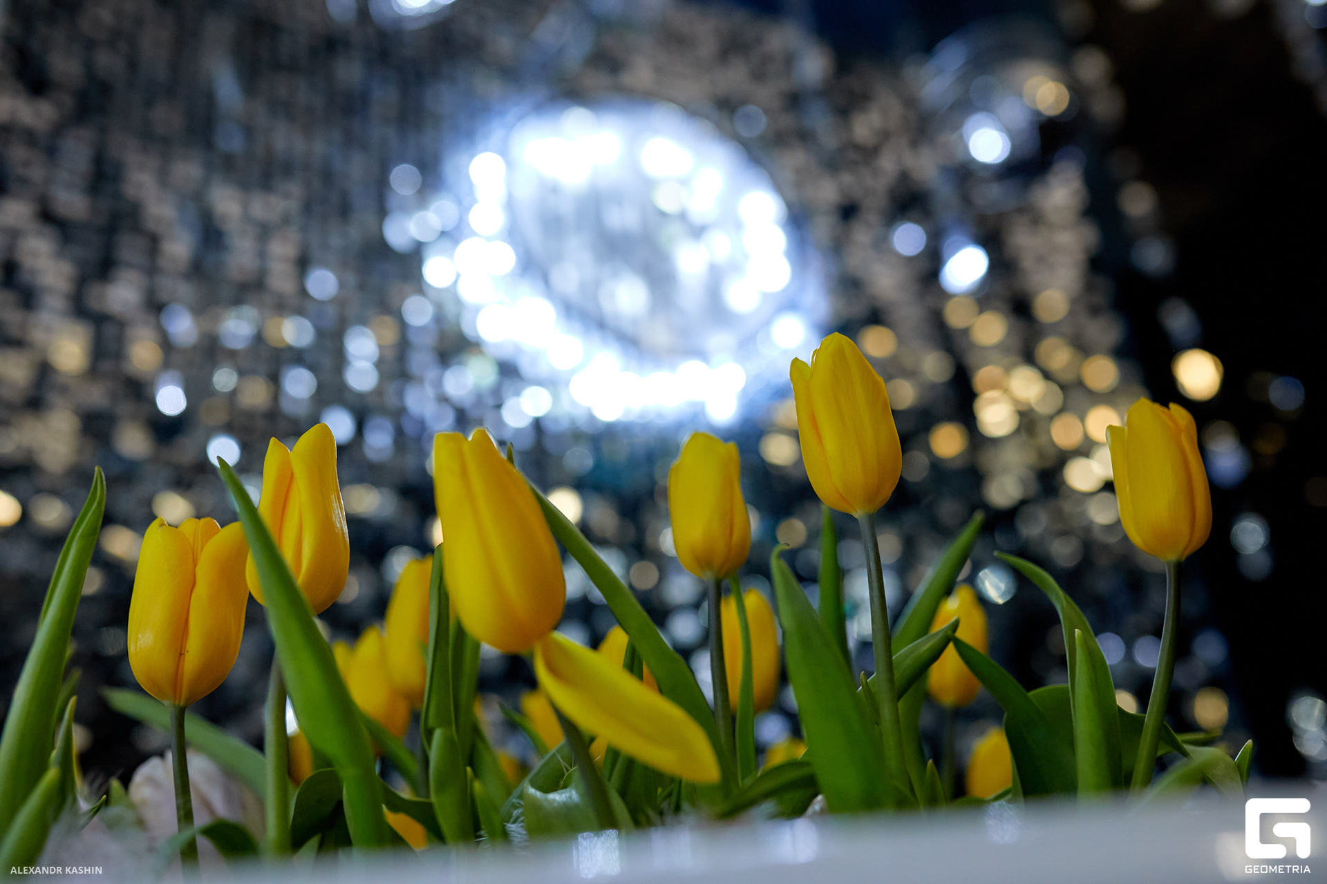 0069 24-03-09 011421 Kashin.jpg