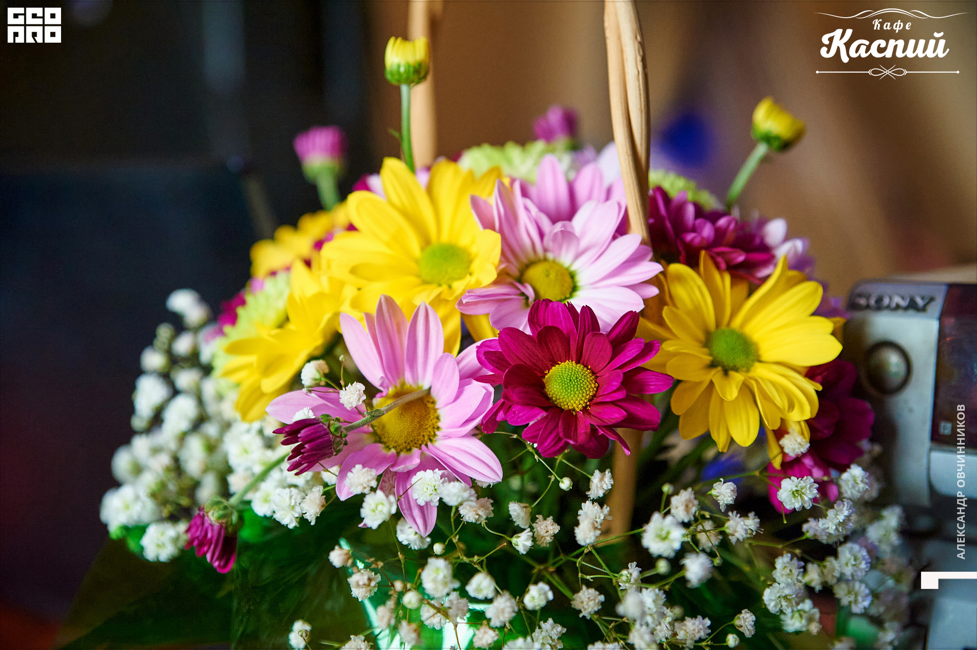 Фото 093 копия.jpg