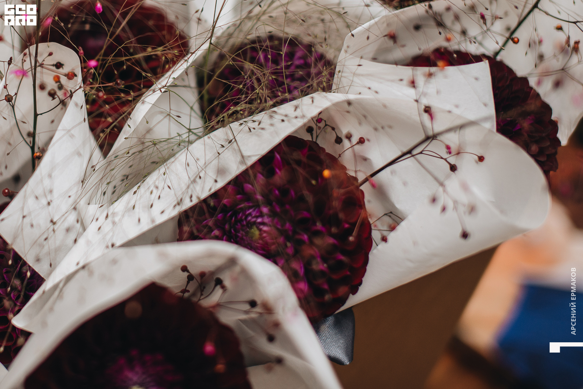 009 2022-08-18-182237_arseniyermakov.jpg