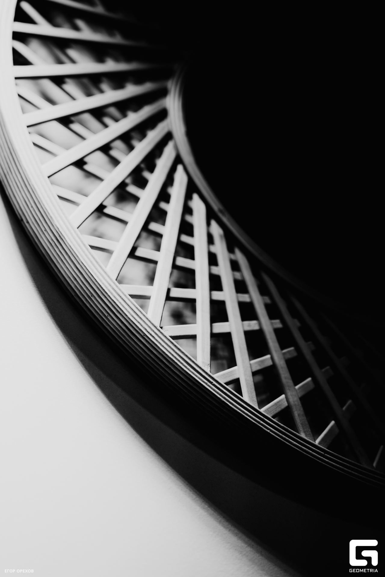 DSC06787-Улучшено-Ум. шума.jpg