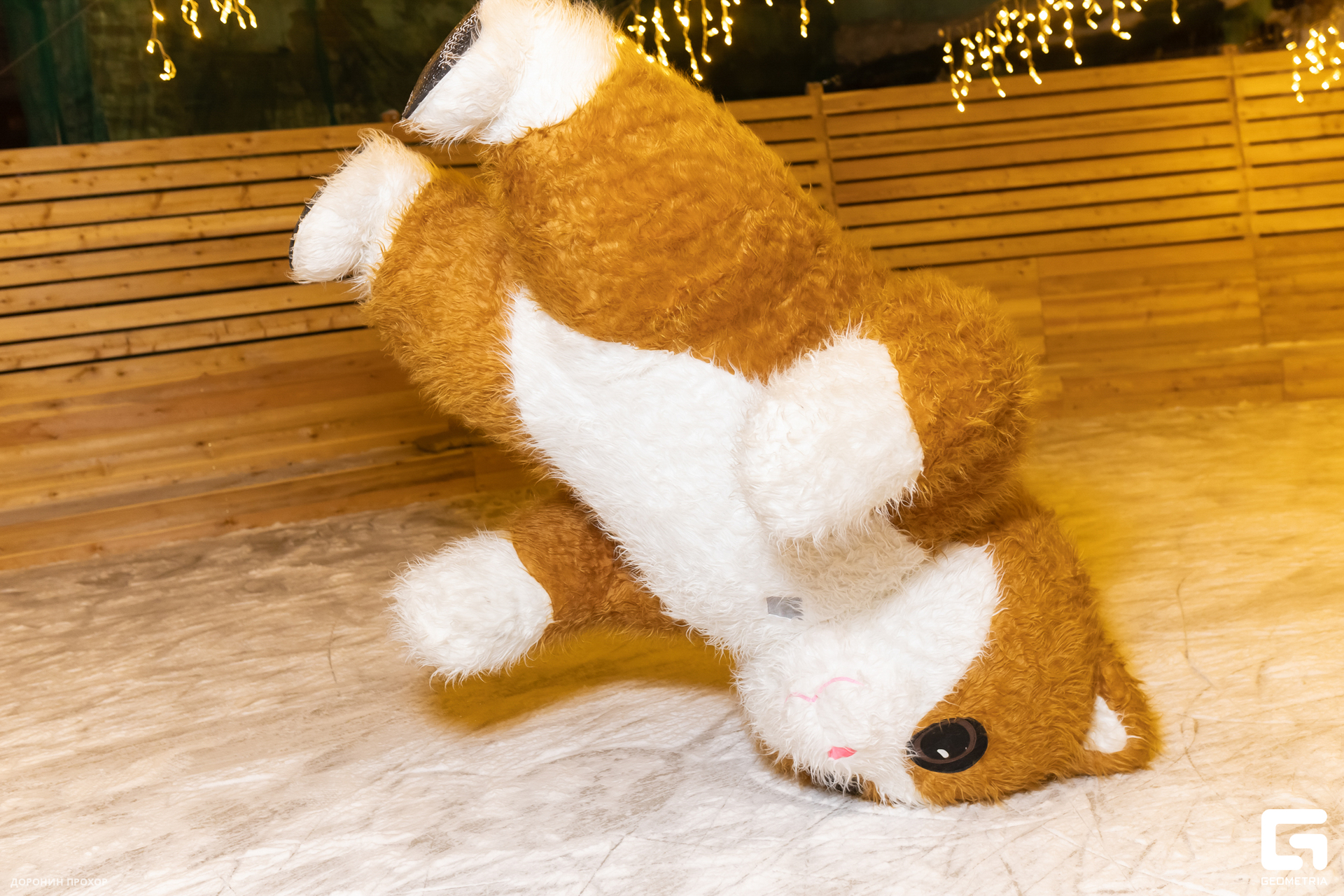 2023.12.27 Каток 060.jpg