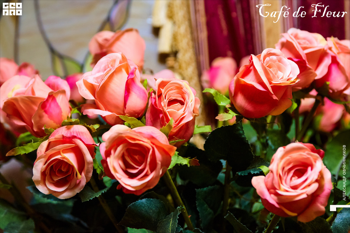 Пятница в кафе De Fleur 30