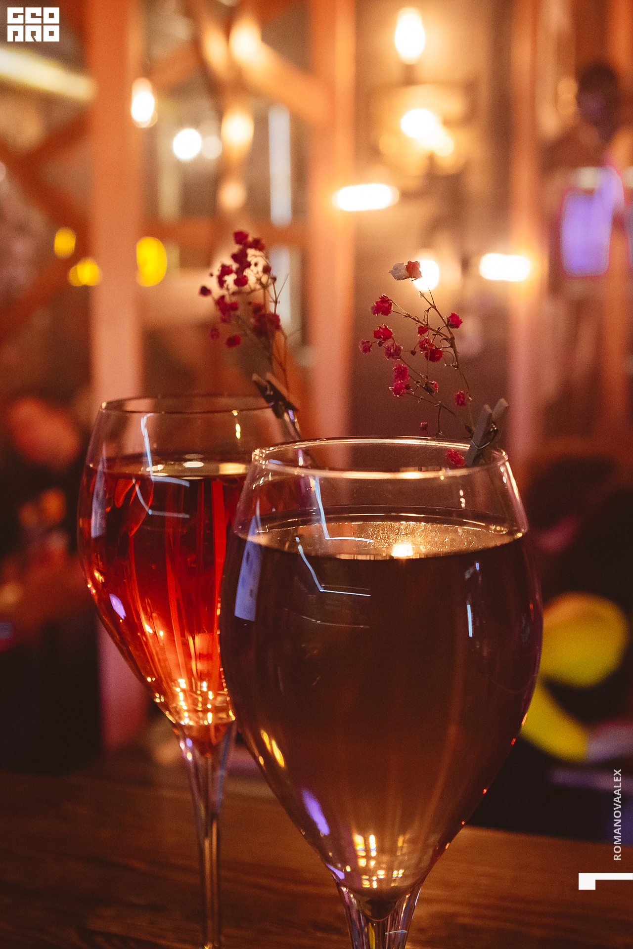 070 211016  004146 _ale_romanova.jpg