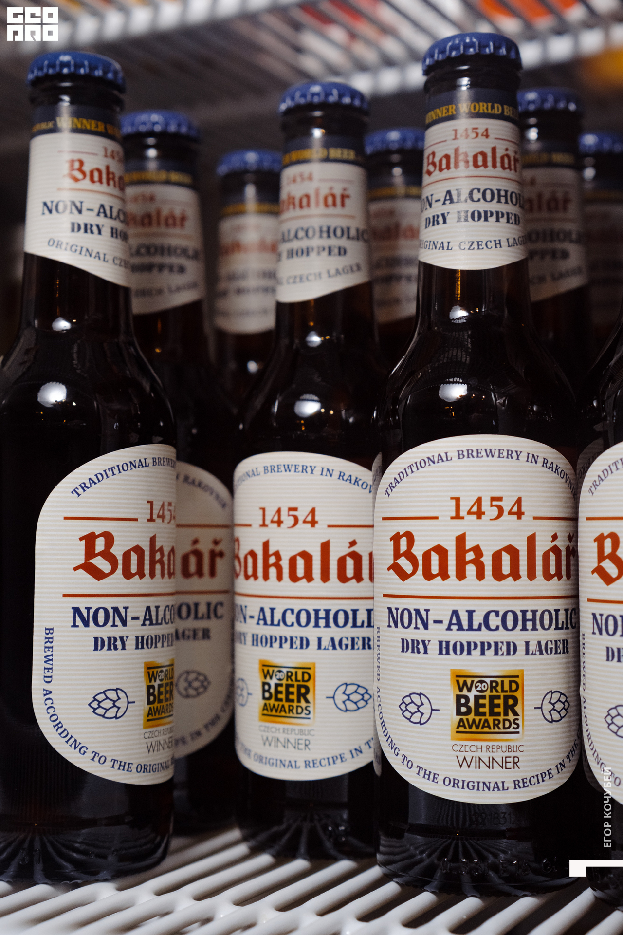 221119 Кочубей 066.jpg