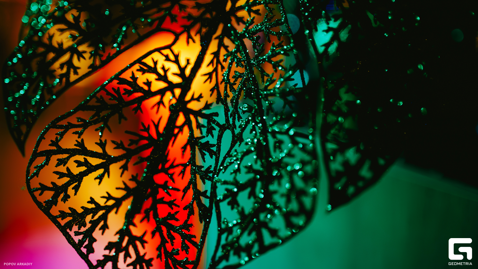 IMG_1939-Улучшено-Ум. шума.jpg